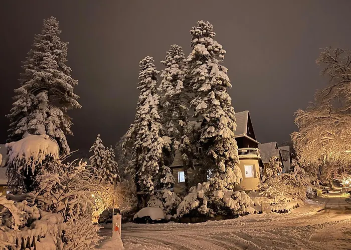 Traumblick Wernigerode