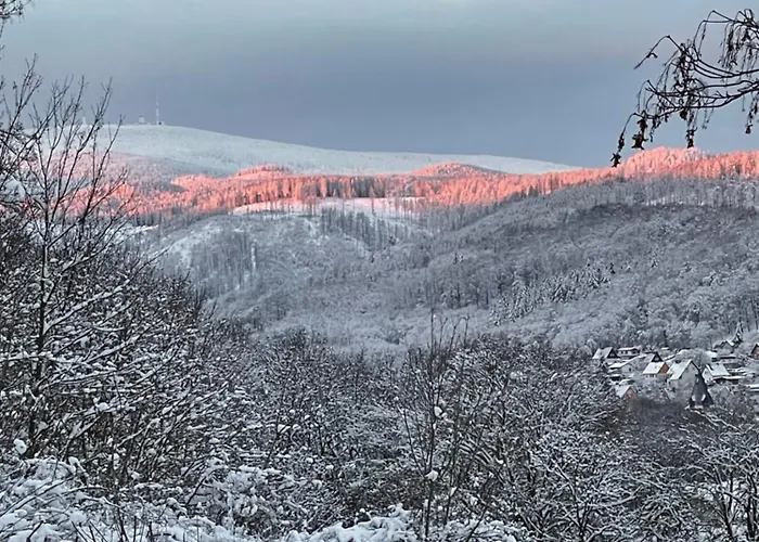 Traumblick Wernigerode